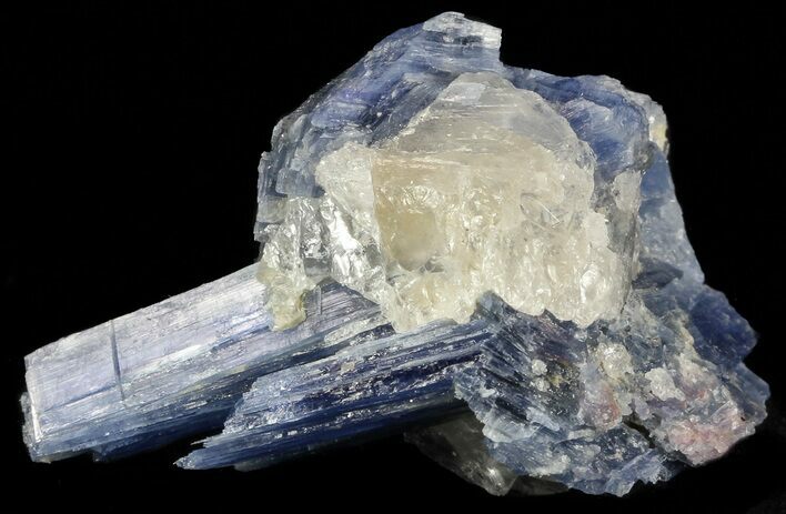 Vibrant Blue Kyanite Crystals In Quartz - Brazil #56936